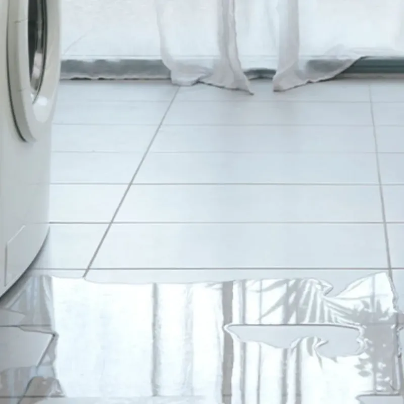 Appliance Leak Cleanup in Tusculum, TN
