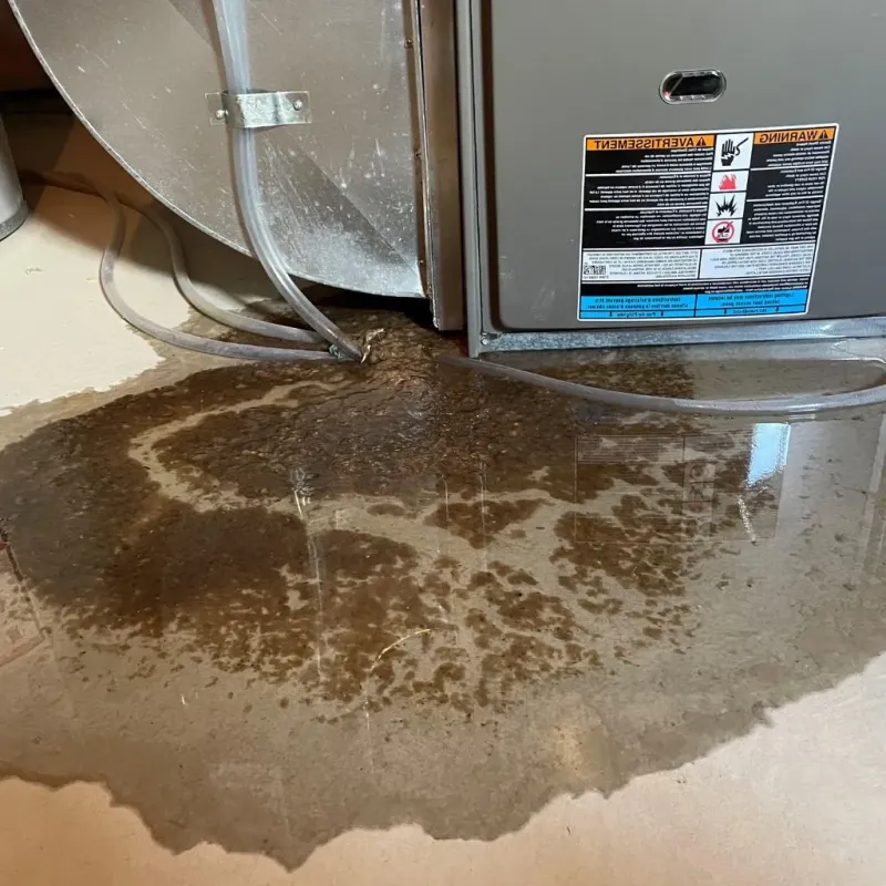 Pipe Burst and Leak Restoration in Tusculum, TN