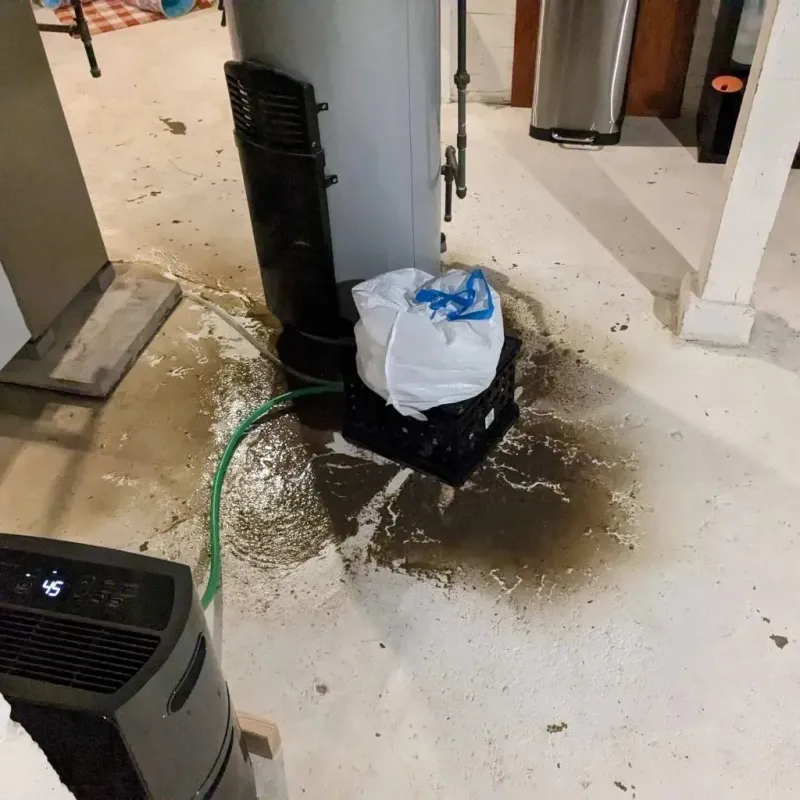 Sewage Backup Cleanup Service in Tusculum, TN